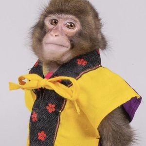 Meet your Posher, Sam